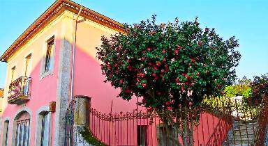 Apartamento de 90 m²