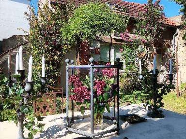 40 m² Ferienhaus