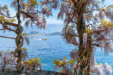 Appartamento vacanza 40 m²