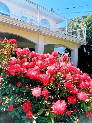 Bed and breakfast Nanaimo
