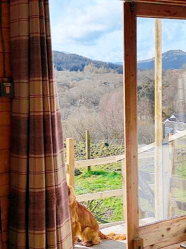 Lodge with jacuzzi & yard | Pets are welcome — photo 2