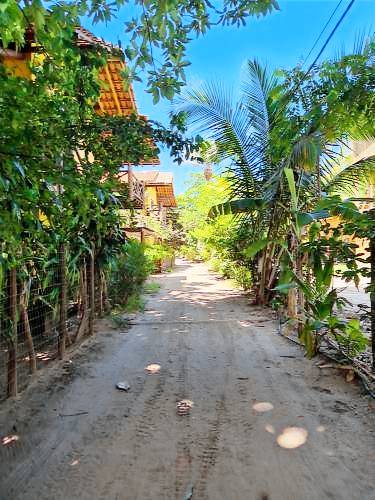 Holiday apartment | Pets allowed in Maraú