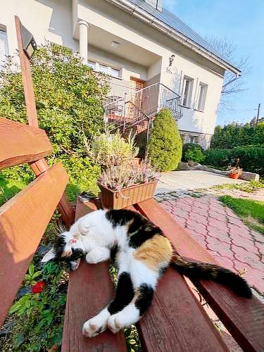 Apartament Lubawka