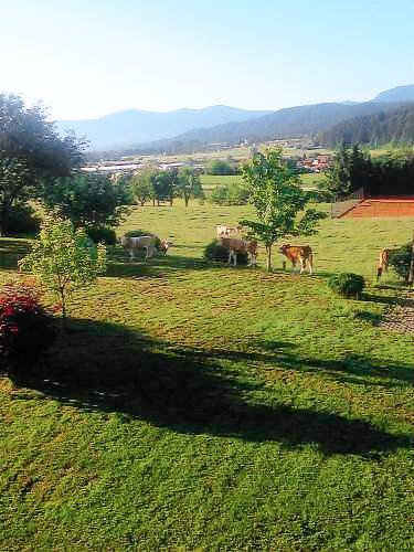 Appartement Gornji Grad