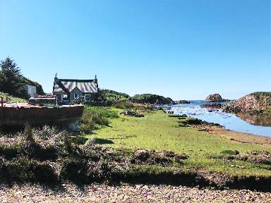 Fully equipped lovely cottage with garden, terrace & BBQ | Nature view | Good for workation