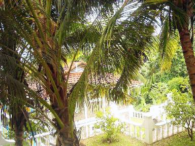 40 m² Villa