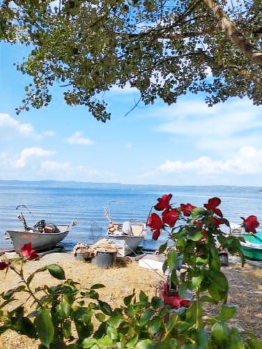 Bed & Breakfast Capodimonte