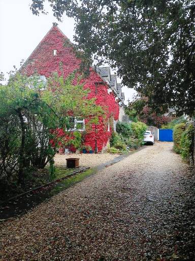 Cottage