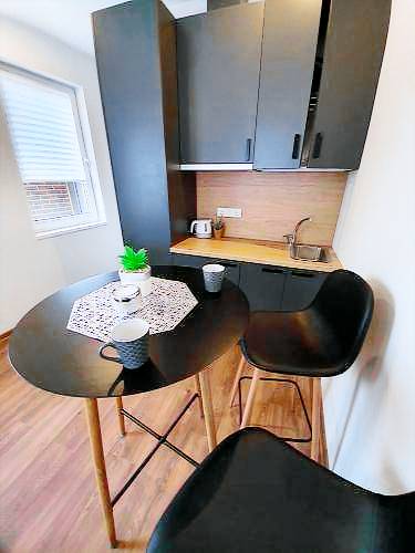 Apartament z hotelowymi udogodnieniami Kowno