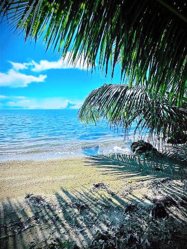 Children-friendly lovely vacation home with private pool, garden & terrace | Nature view