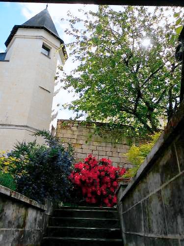 Chambre d'hôtes Montsoreau