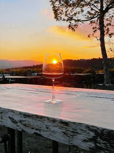 Ayda Bagları Winery & Vineyards — photo 4