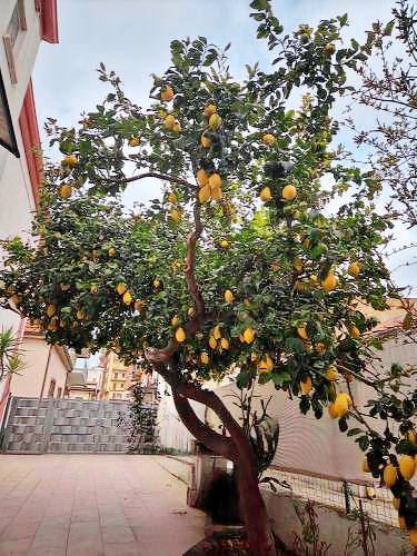 Bed & Breakfast Catanzaro Lido