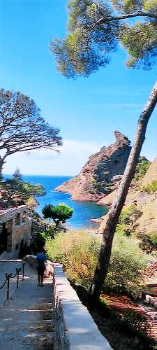 Bed & Breakfast  Cassis