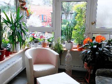40 m² Ferienwohnung