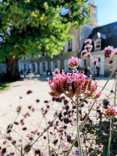 Chambre d'hôtes Meung-sur-Loire