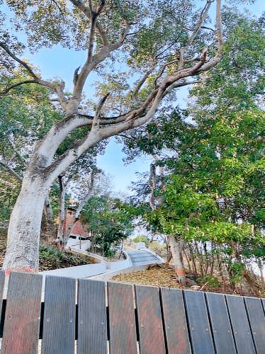 Chalet Les Saintes