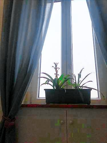 foto2