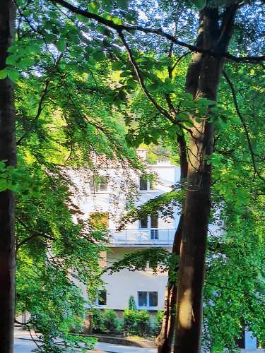 Charming apartment with yard | Pet-friendly — photo 4