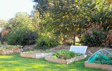 Gîte avec terrasse, barbecue et jardin
