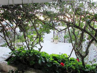 Appartamento 55 m²