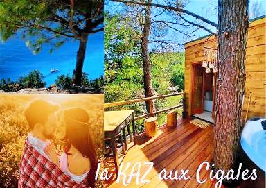 Cabane dans les arbres "La Kaz aux Cigales"