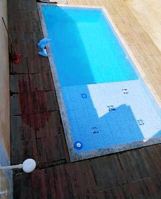 Vacation home with pool | Pet-friendly — photo 5