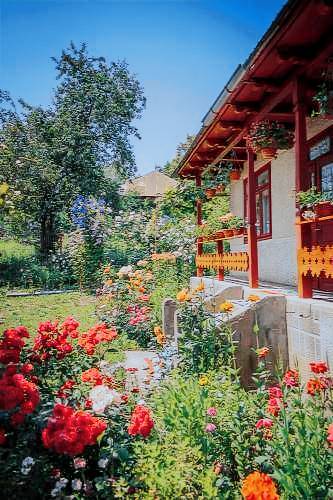 Lodge Scorțeni