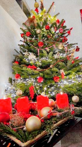 Bed & Breakfast Starnberg