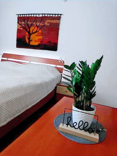 Apartma Irje
