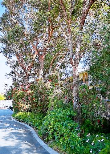 Apartment Cottesloe