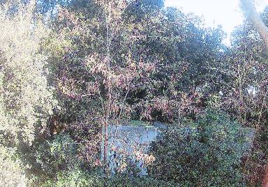 Alloggio 14 m²