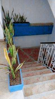 Hotel Marie Real Cartagena — photo 5