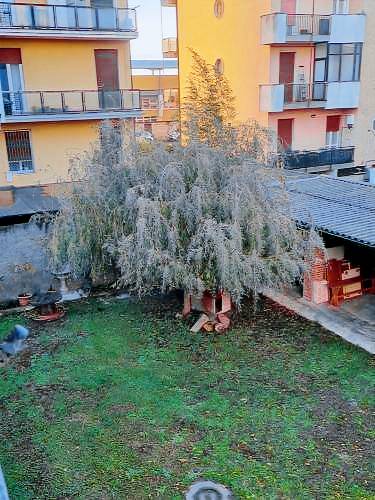 foto6