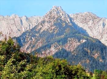 foto2