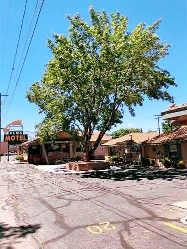 Motel Bishop