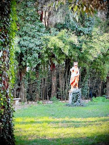 Villa Amore Tuscany — photo 5