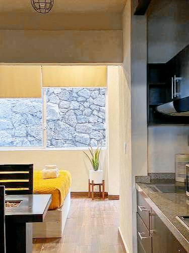Apartamento Chapultepec Oriente