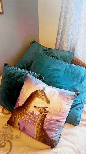 Bed & Breakfast Moffat and District