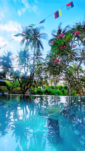 Hostel Gili Islands