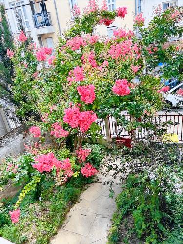 Appartement Chilly-Mazarin