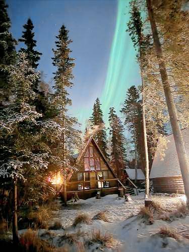 19 m² Chalet
