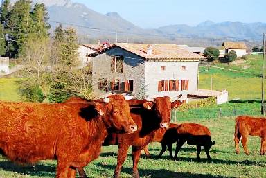 Agriturismo de 300 m²