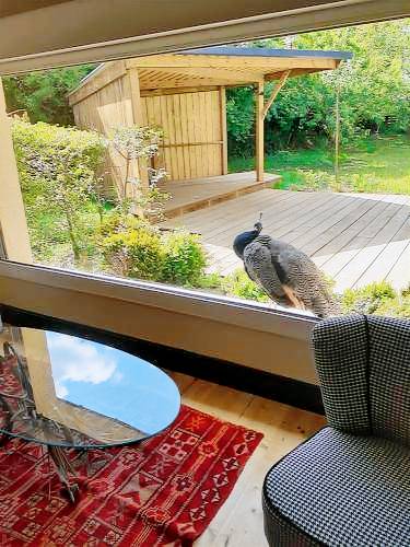 Appartement  Longues-sur-Mer