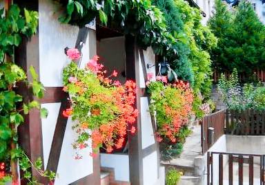 Apartament
