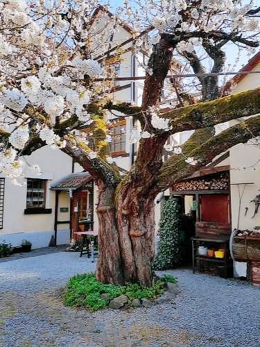 Ferienwohnung Limburg an der Lahn