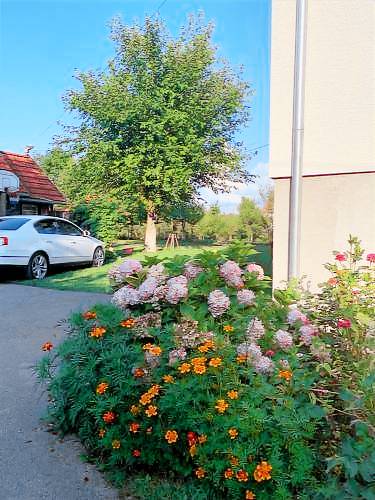 Apartman Smoljanac