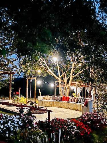 Cabana Bananeiras