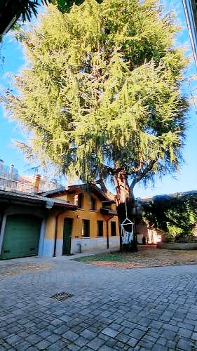 Casa Castellanza