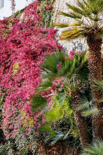 Appartamento Monte Carlo